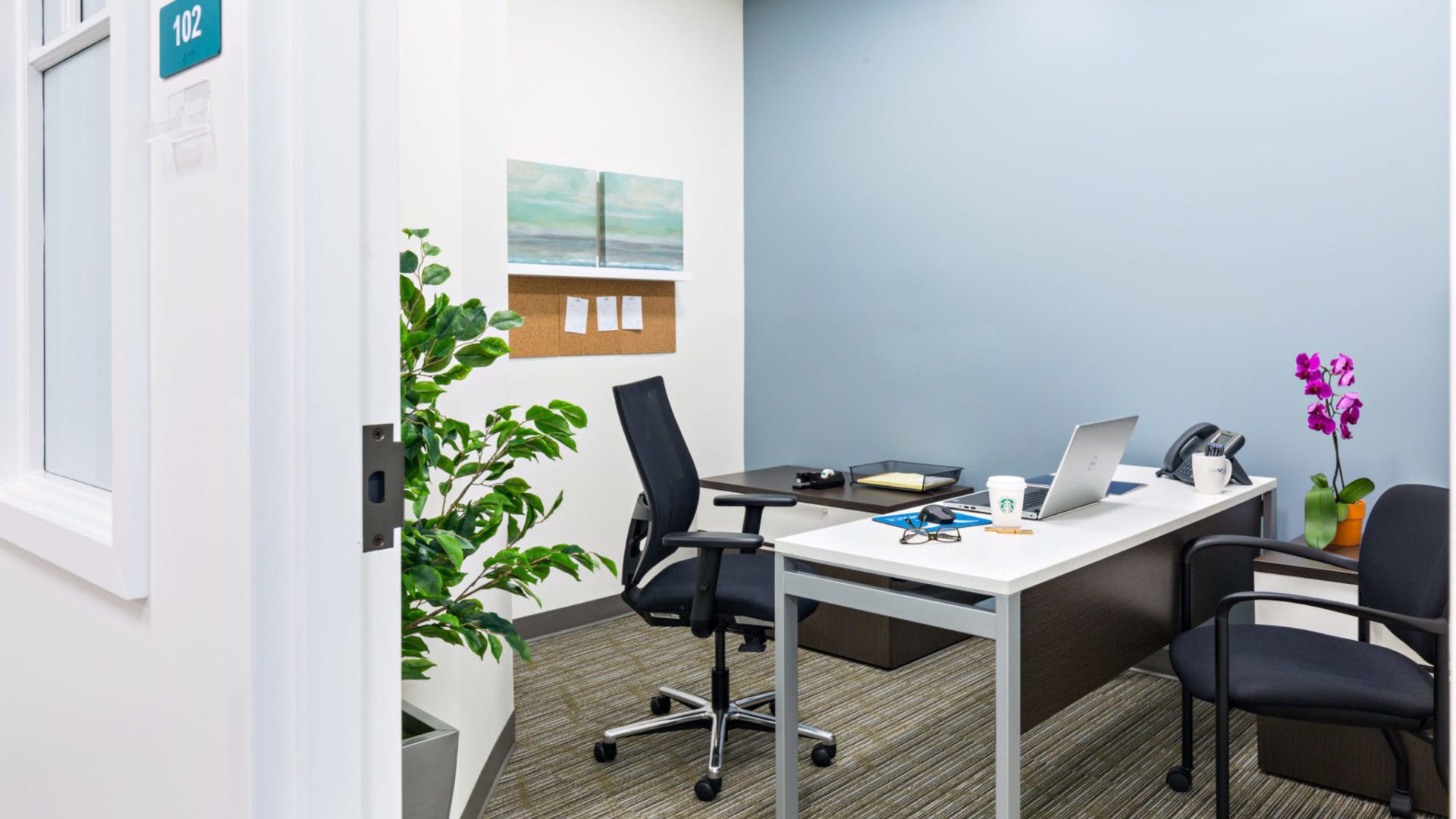 Affordable Private Offices on Flexible Terms Capespace